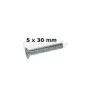 Schroeven 5 x 30 mm