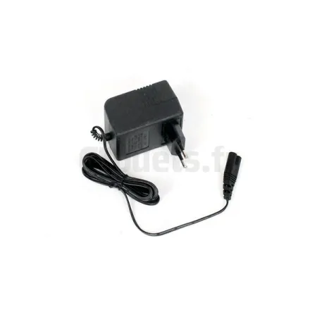 Cargador de batería de 6 voltios y 500 mAh