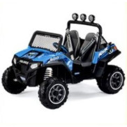 Polaris RZR 900