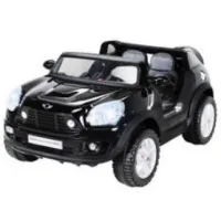 Categorie Onderdelen voor Mini BeachComber