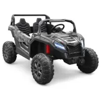 Buggy Big horn pro 24 V